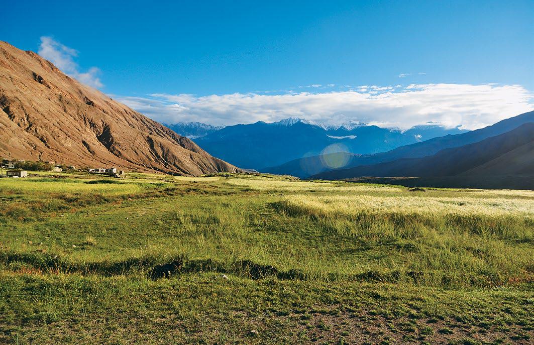 A FLUTTERING DISCOVERY